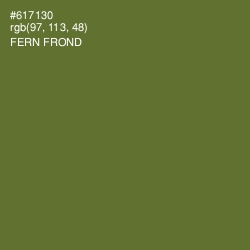 #617130 - Fern Frond Color Image